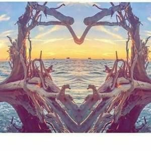 Meet your Posher, Bridgette